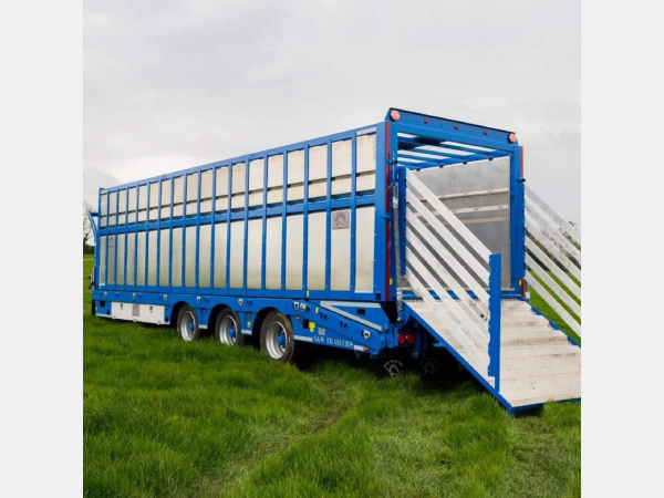 blue cattle trailer
